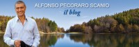 header_blogpecoraro